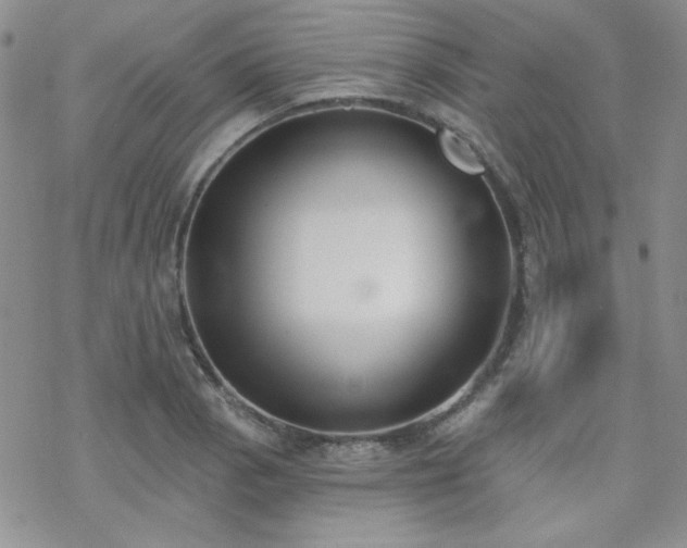 X0000070241129200606051118