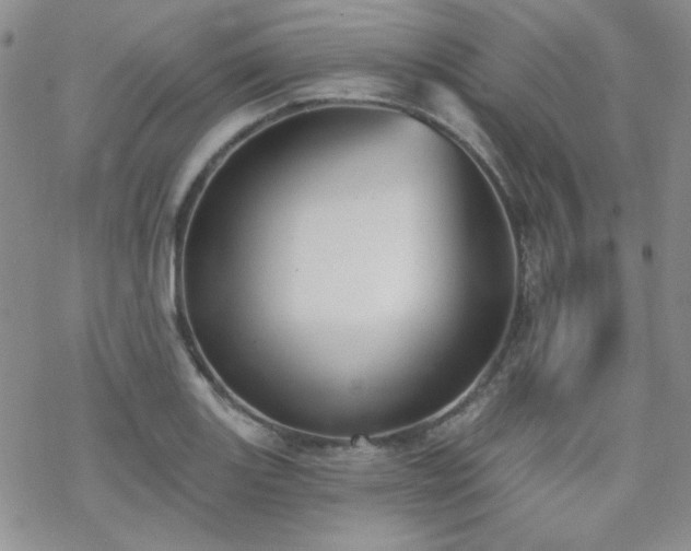 X0000070241131200606051118