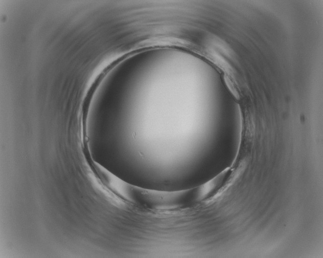 X0000070241132200606051118