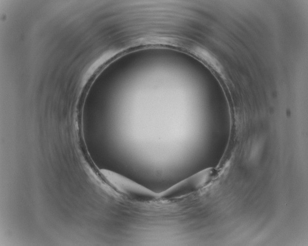 X0000070241133200606051118