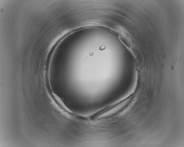 X0000070241134200606051118