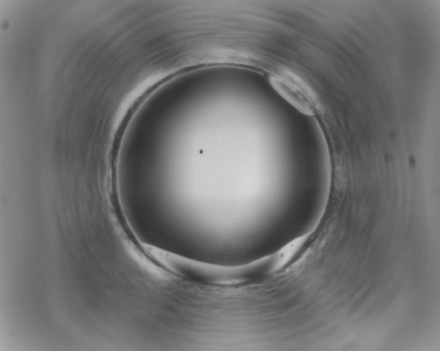 X0000070241136200606051118