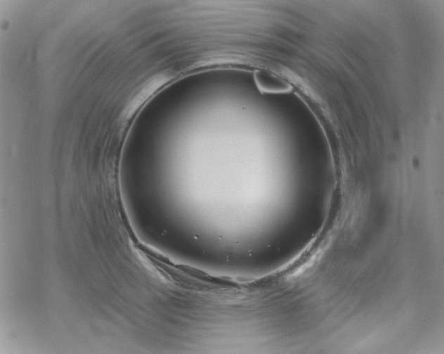 X0000070241137200606051118