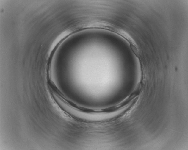 X0000070241138200606051118