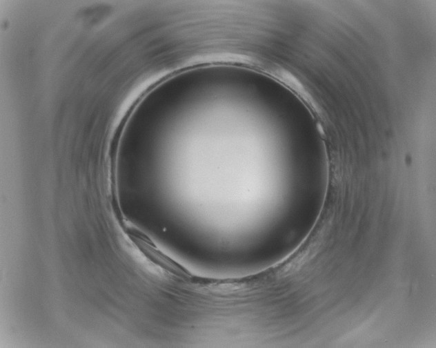 X0000070241140200606051118