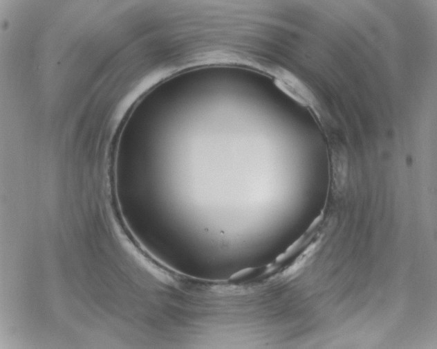 X0000070241142200606051118