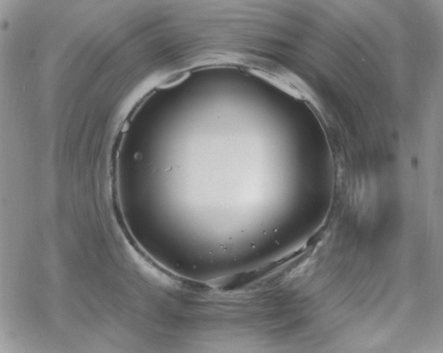 X0000070241143200606051118