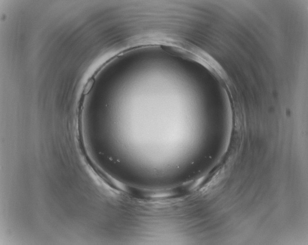 X0000070241144200606051118