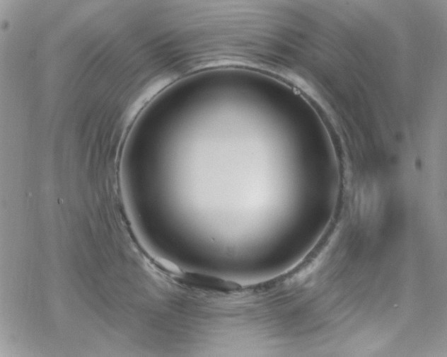 X0000070241145200606051118