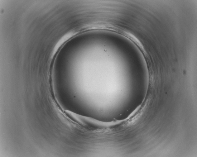 X0000070241146200606051118