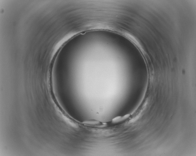 X0000070241149200606051118