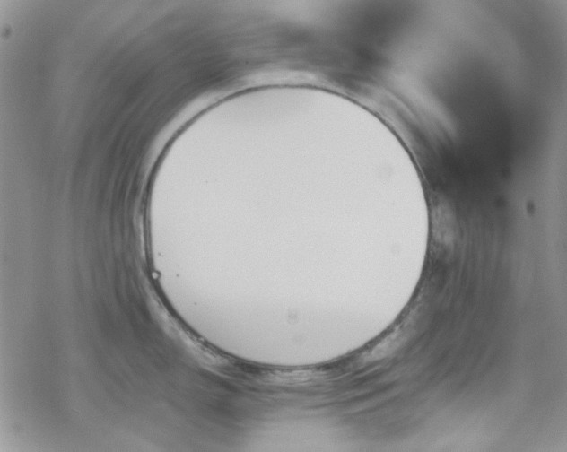 X0000070241150200606051118