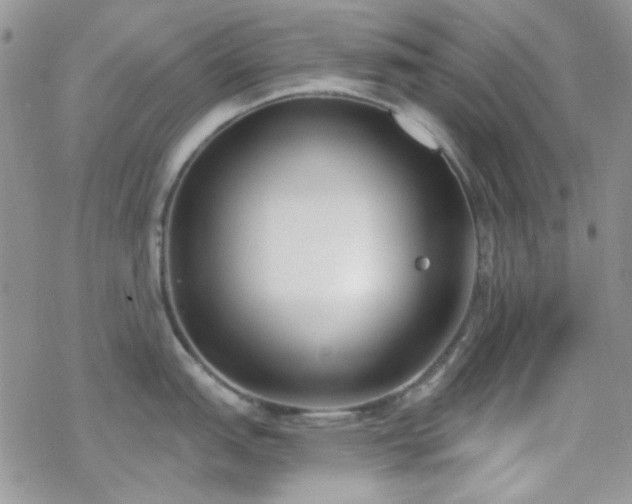 X0000070241151200606051118