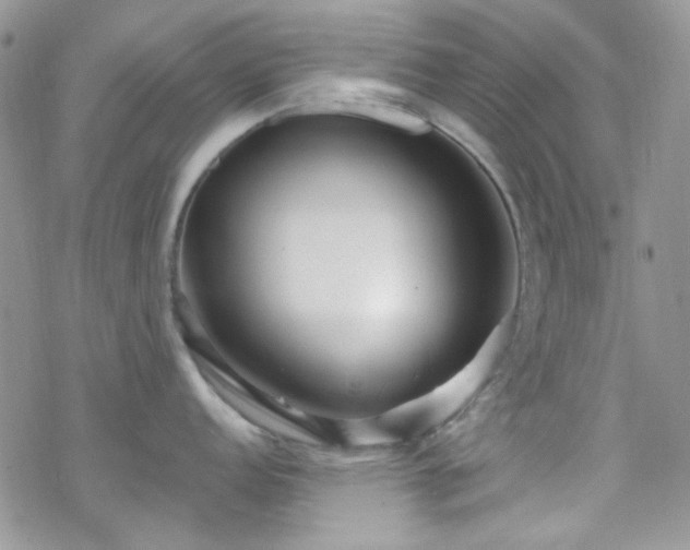 X0000070241152200606051118