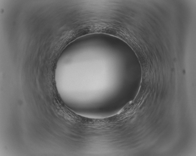 X0000070241153200606051118