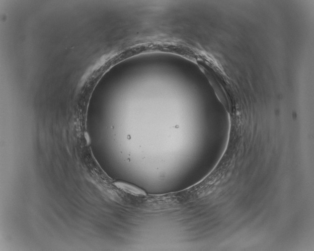 X0000070241159200606051117