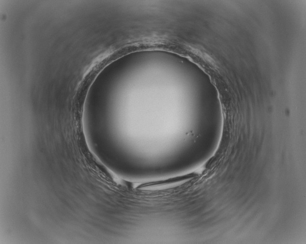 X0000070241160200606051117