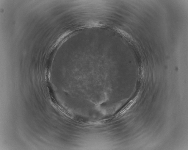 X0000070241161200606051117