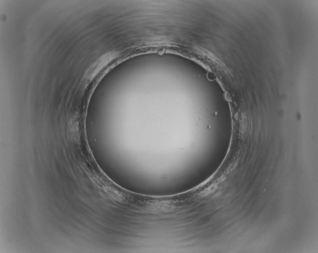 X0000070241162200606051117