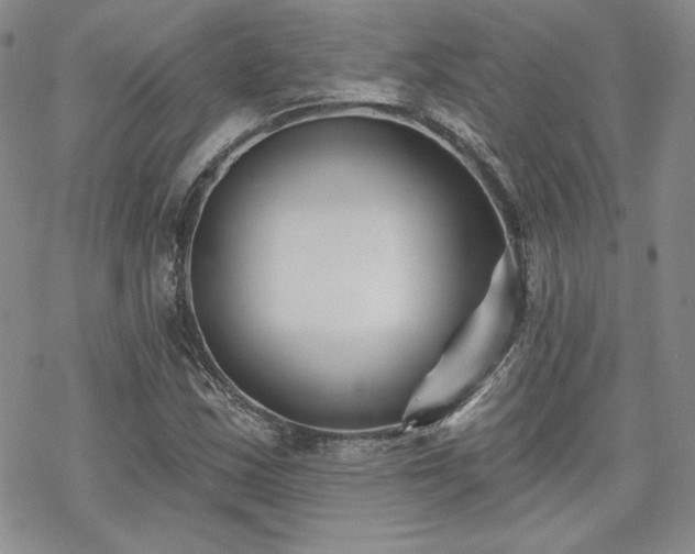 X0000070241163200606051117