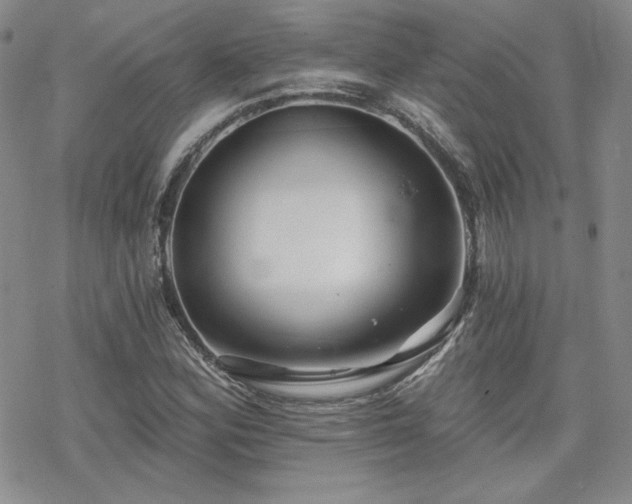 X0000070241164200606051117