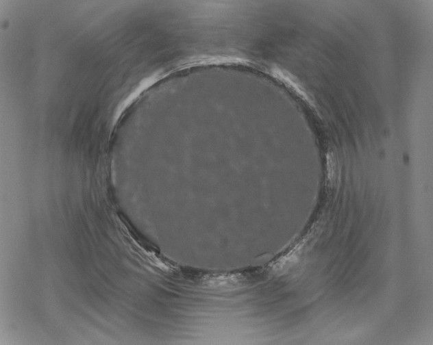 X0000070241165200606051117