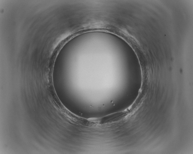 X0000070241166200606051117