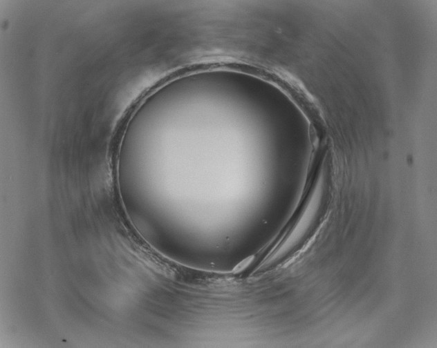 X0000070241167200606051117