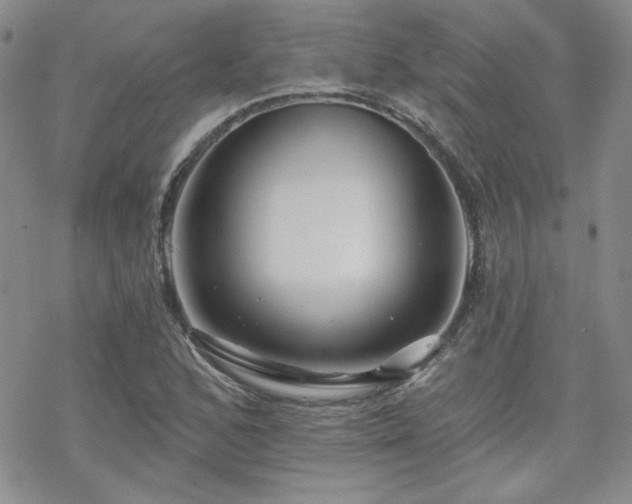 X0000070241168200606051117