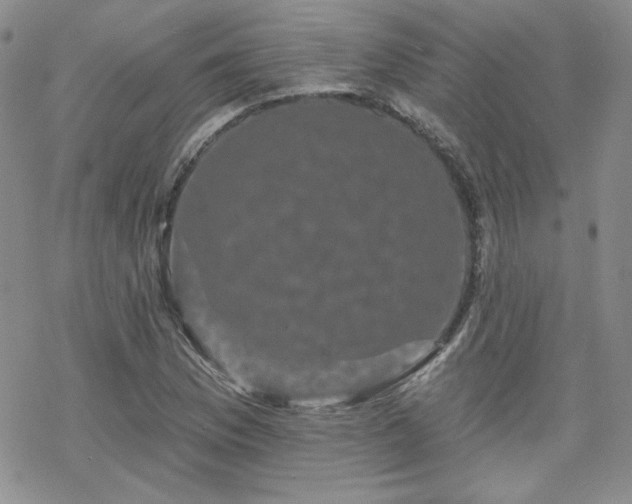 X0000070241169200606051117