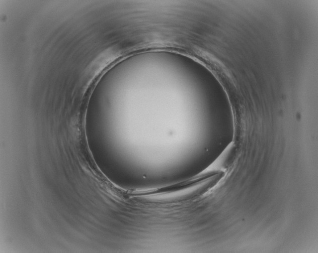 X0000070241170200606051117