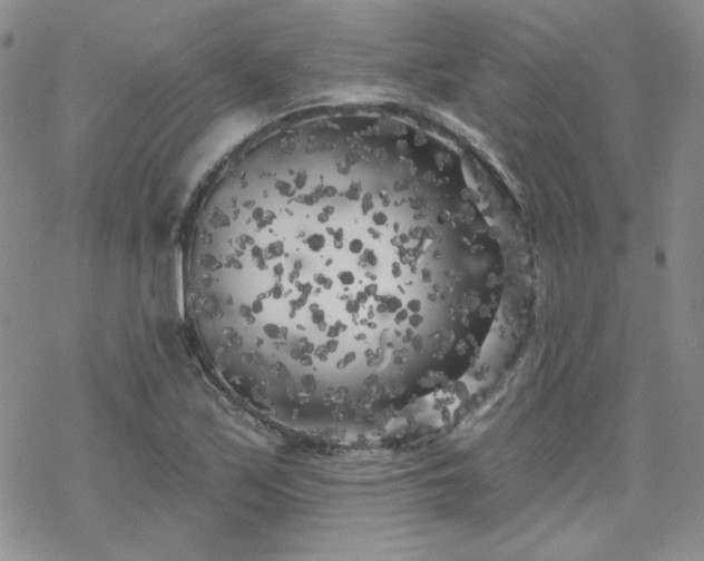 X0000070241171200606051117