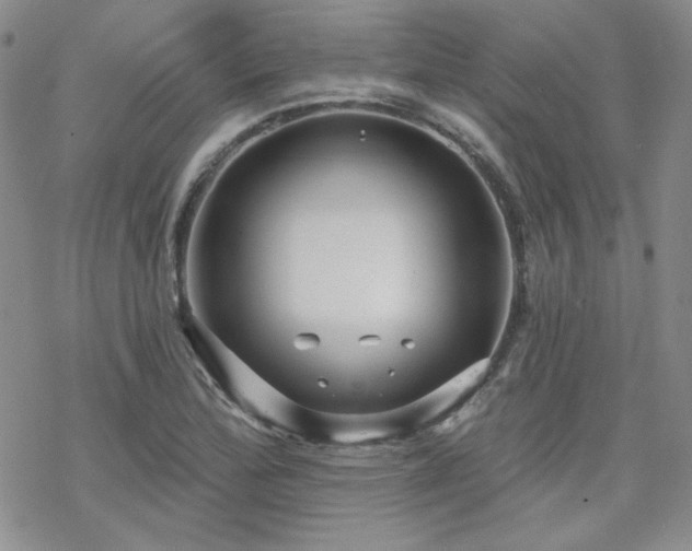 X0000070241172200606051117