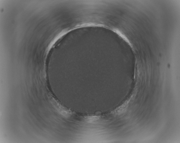 X0000070241173200606051117