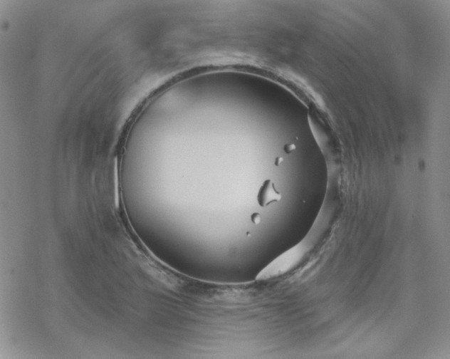 X0000070241175200606051117