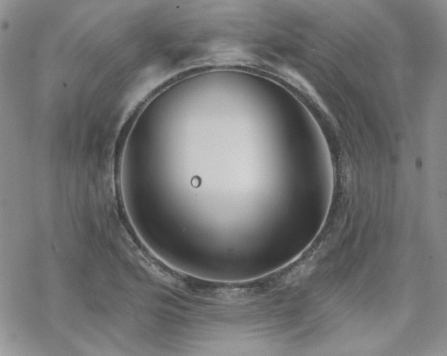 X0000070241176200606051117