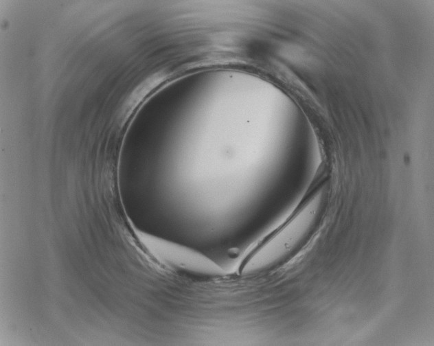 X0000070241177200606051117