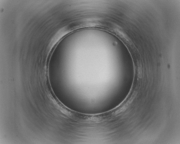 X0000070241178200606051117