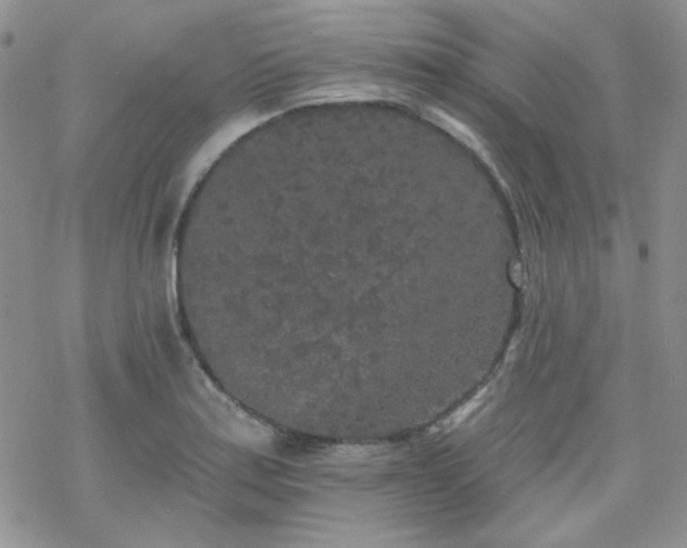 X0000070241179200606051117