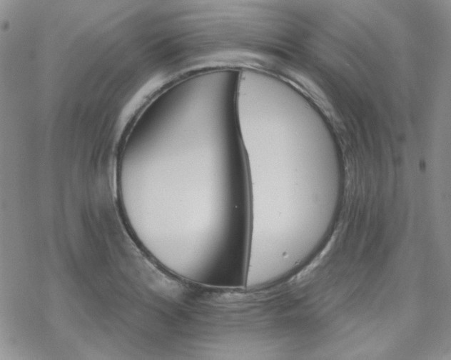 X0000070241180200606051117