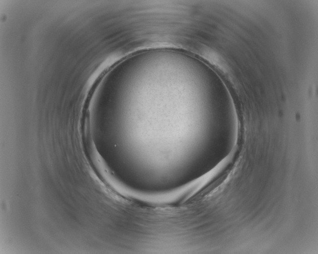 X0000070241181200606051117