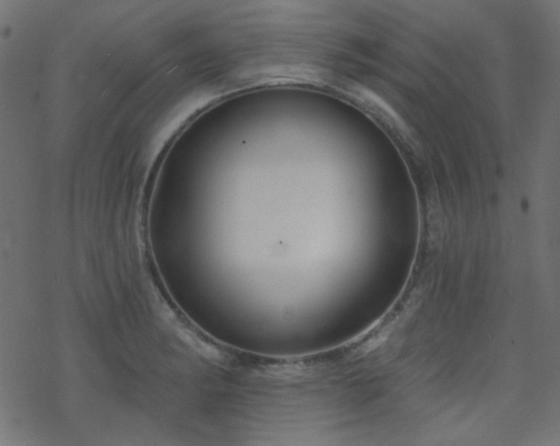 X0000070241182200606051117