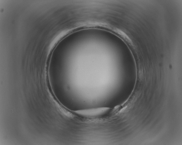 X0000070241183200606051117