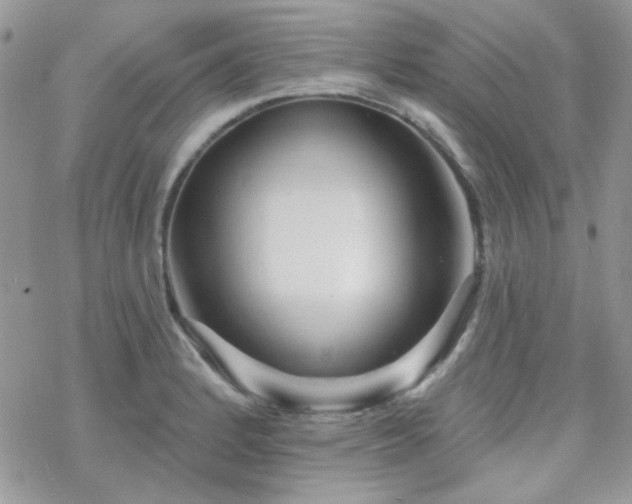 X0000070241184200606051117