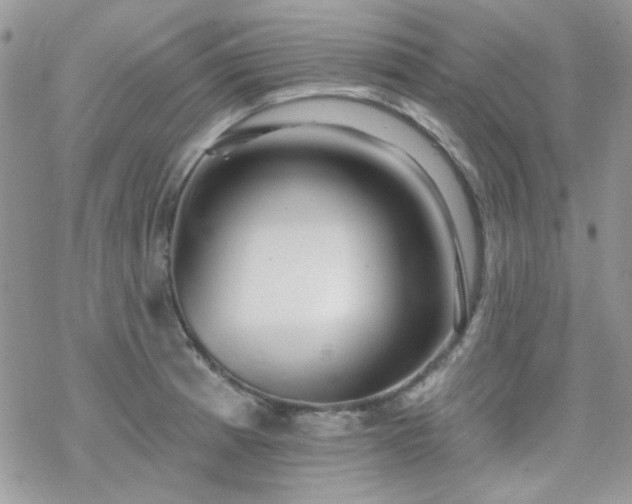 X0000070241185200606051117