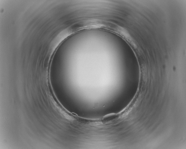 X0000070241186200606051117