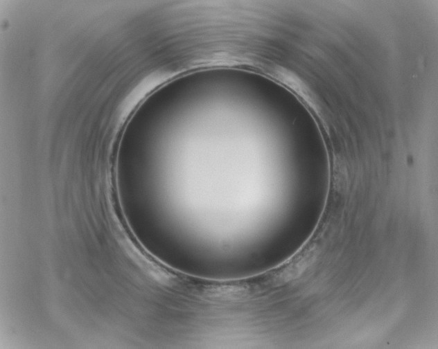 X0000070241187200606051117