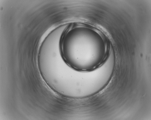 X0000070241188200606051117