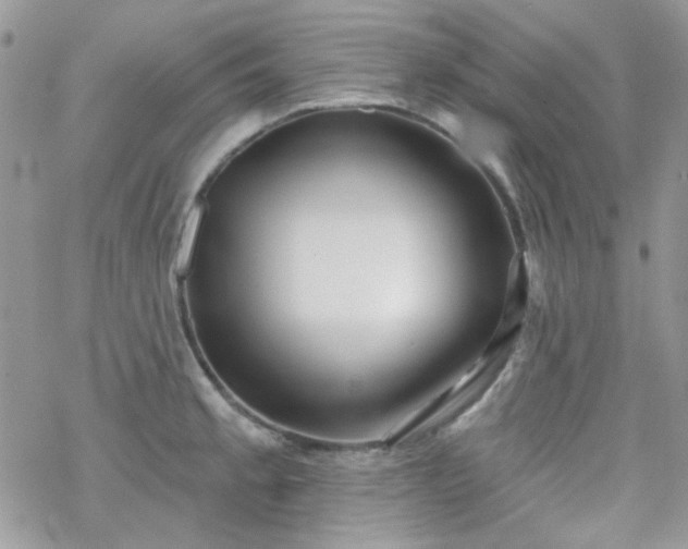 X0000070241189200606051117