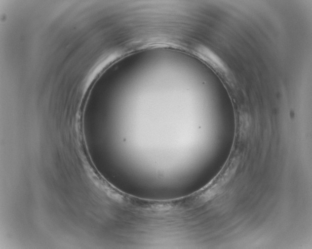 X0000070241190200606051117